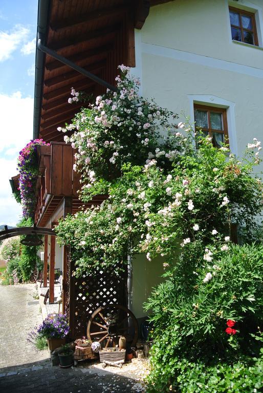 Haus Am Waldrand - Ferienwohnung Augustin 格拉芬瑙 外观 照片