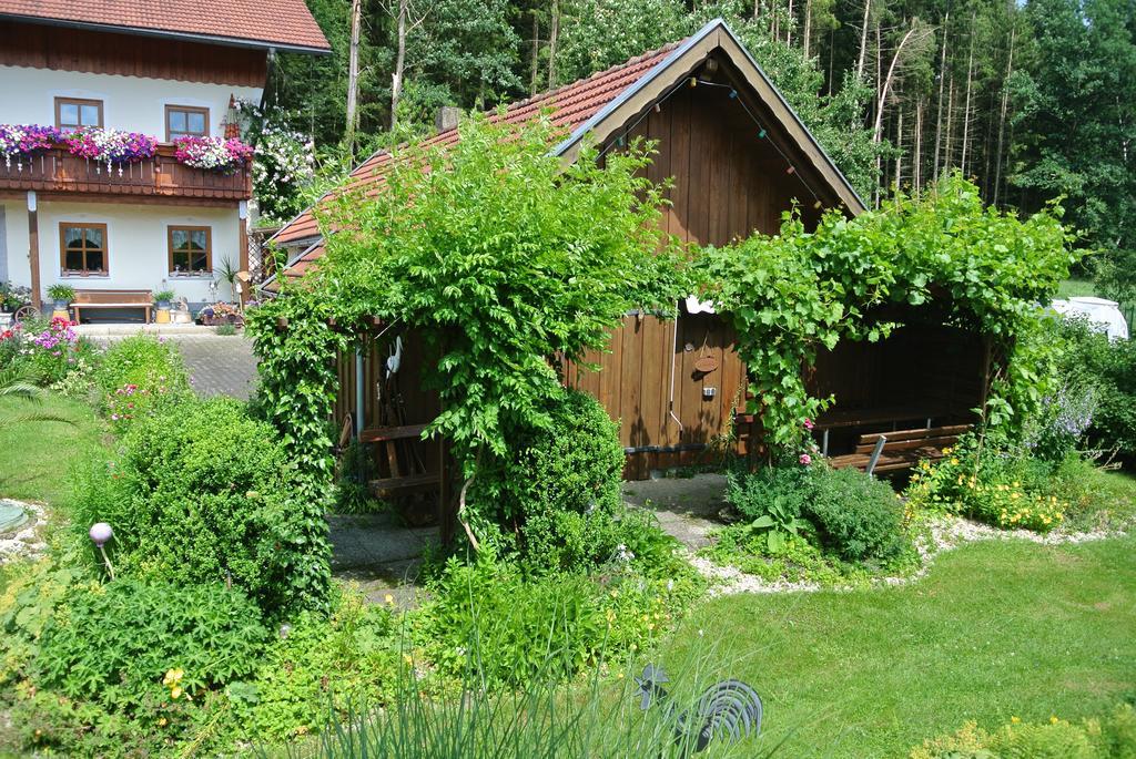 Haus Am Waldrand - Ferienwohnung Augustin 格拉芬瑙 外观 照片